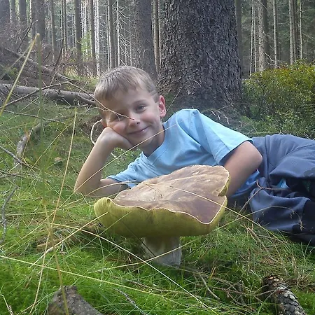 Gæstehus - Srub Kasparaci